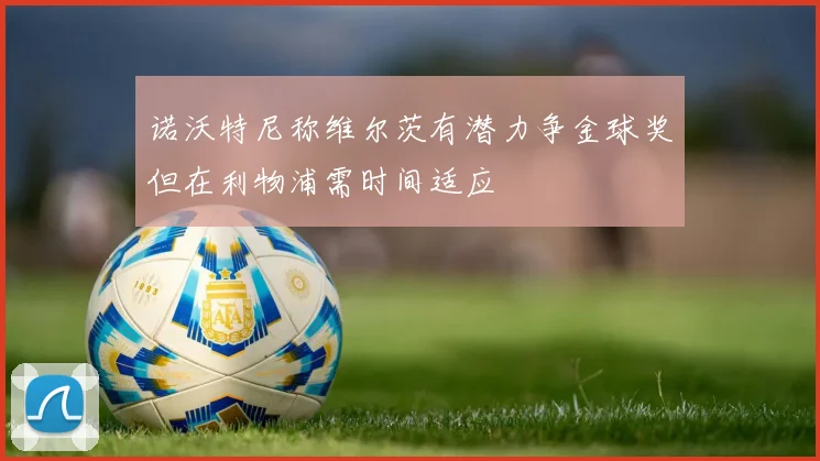 诺沃特尼称维尔茨有潜力争金球奖但在利物浦需时间适应