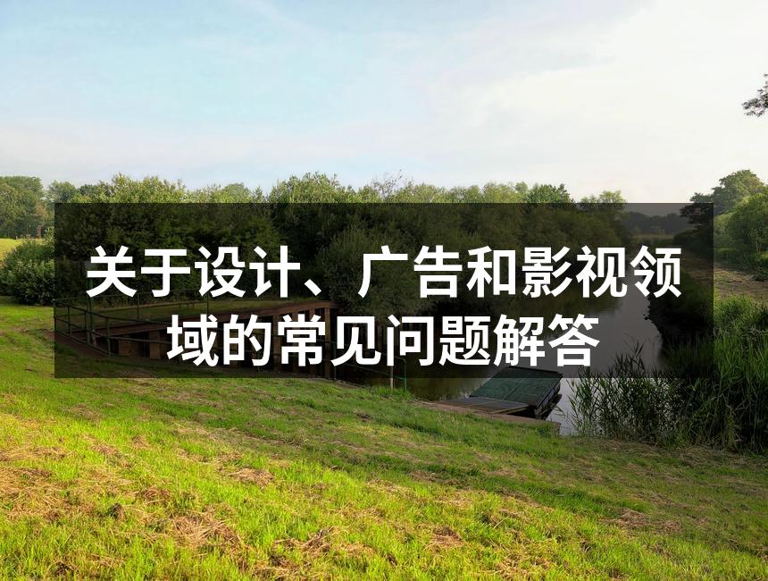 设计师与客户沟通的场景