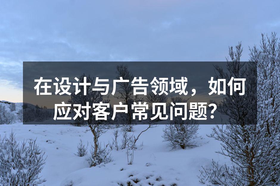 设计师与客户沟通项目需求